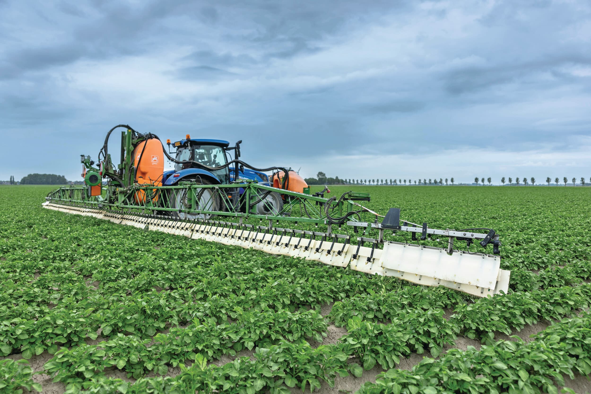 De broers Jarig en Kor Palsma, akkerbouwers in Sint Annaparochie (Fr.), spuiten in een strak schema om phytophthora in hun pootgoed te beheersen. Ze spuiten hiermee ook tegen luizen, alternaria en sclerotinia. Deze 27 meter brede, gedragen Amazonespuit is alweer tien jaar oud. “Toentertijd direct aangeschaft met een wingsprayer om drift maximaal te beperken”, zegt Jarig Palsma. Een 02-dop op 25 cm dopafstand geeft bij dezelfde watergift een fijnere verdeling dan een boom met 50 cm dopafstand. Daardoor spuit Palsma vaak lager boven het gewas en dat beperkt de drift nog verder. Bij de selectie vinden ze af en toe een virusbesmette aardappelplant. “Dat zijn nog de naweeën van vorig jaar, toen de luizendruk hoog was”, zegt Palsma. Foto: Mark Pasveer