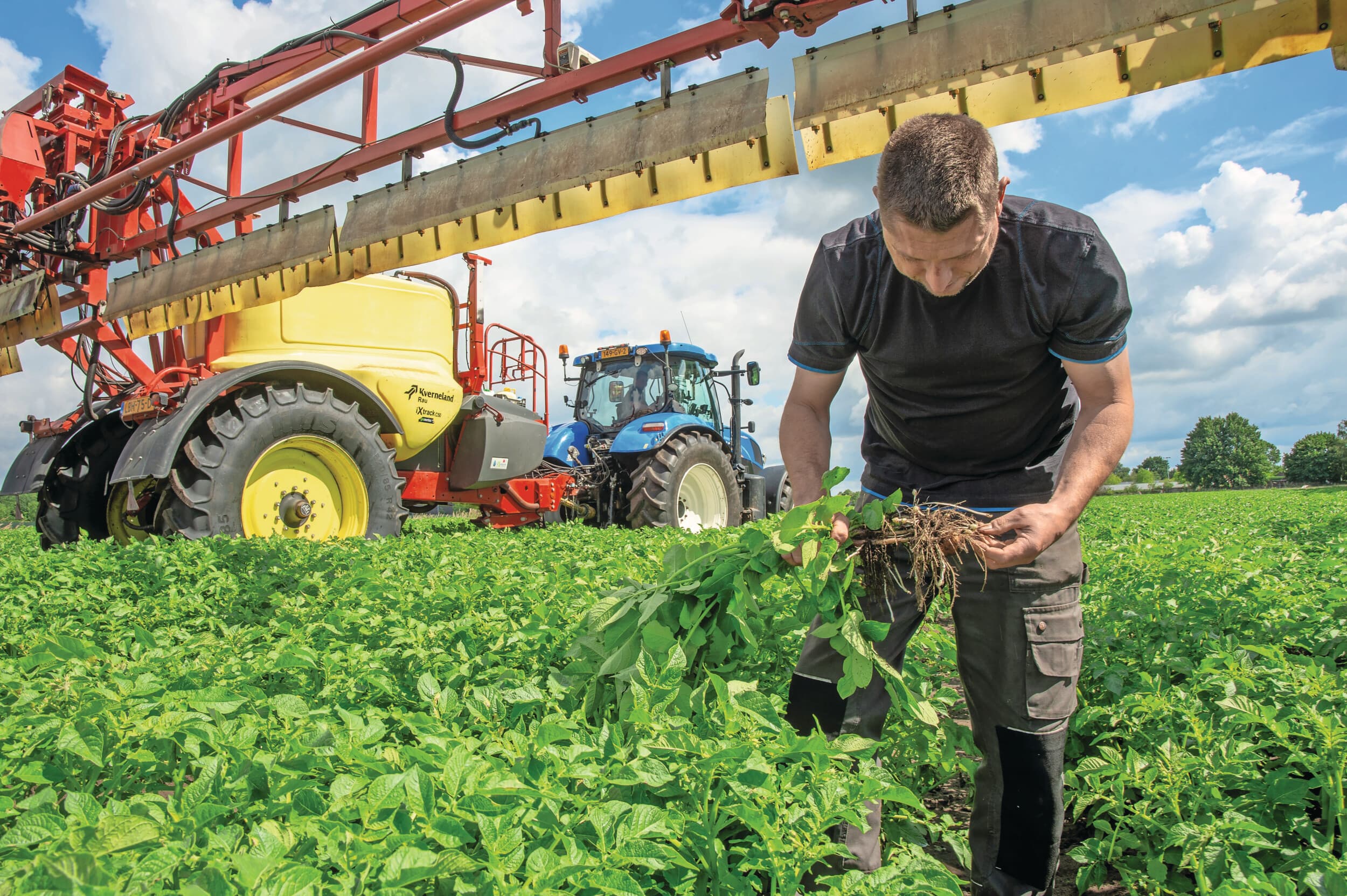 De fritesaardappelen van Twan van der Heijden staan er prima bij. De phytophthora-druk is laag en de akkerbouwer verwacht een opbrengst van minimaal 60 ton per hectare. Voor de prijsvorming houdt hij zijn hart vast. “De stemming in aardappelland is al niet geweldig na de dramatische prijzen van vorig jaar. Ik vraag me af of we uit dat dal weten te klimmen als er dit seizoen goede oogsten worden binnengehaald.” Foto: Twan Wiermans