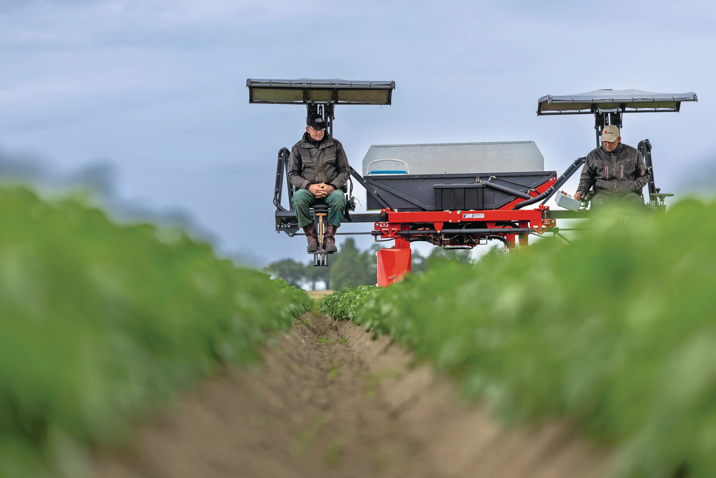 In de eerste week van juni begon bij Ytzen Pieter van der Werff, akkerbouwer in Oude Bildtzijl (Fr.), het selectiewerk in zijn pootgoed. Collega-akkerbouwers Jaap Tjaarda (links) en Piet Slager zitten op de selectiekar. Ze verwijderen zieke planten, afwijkende rassen en opslagplanten. Van der Werff heeft de aardappelen half april gepoot. “Door de droogte groeit het gewas langzaam. Het is nog steeds droog onder in de rug, we kunnen hier wel wat meer regen gebruiken”, zegt Van der Werff. Foto: Mark Pasveer