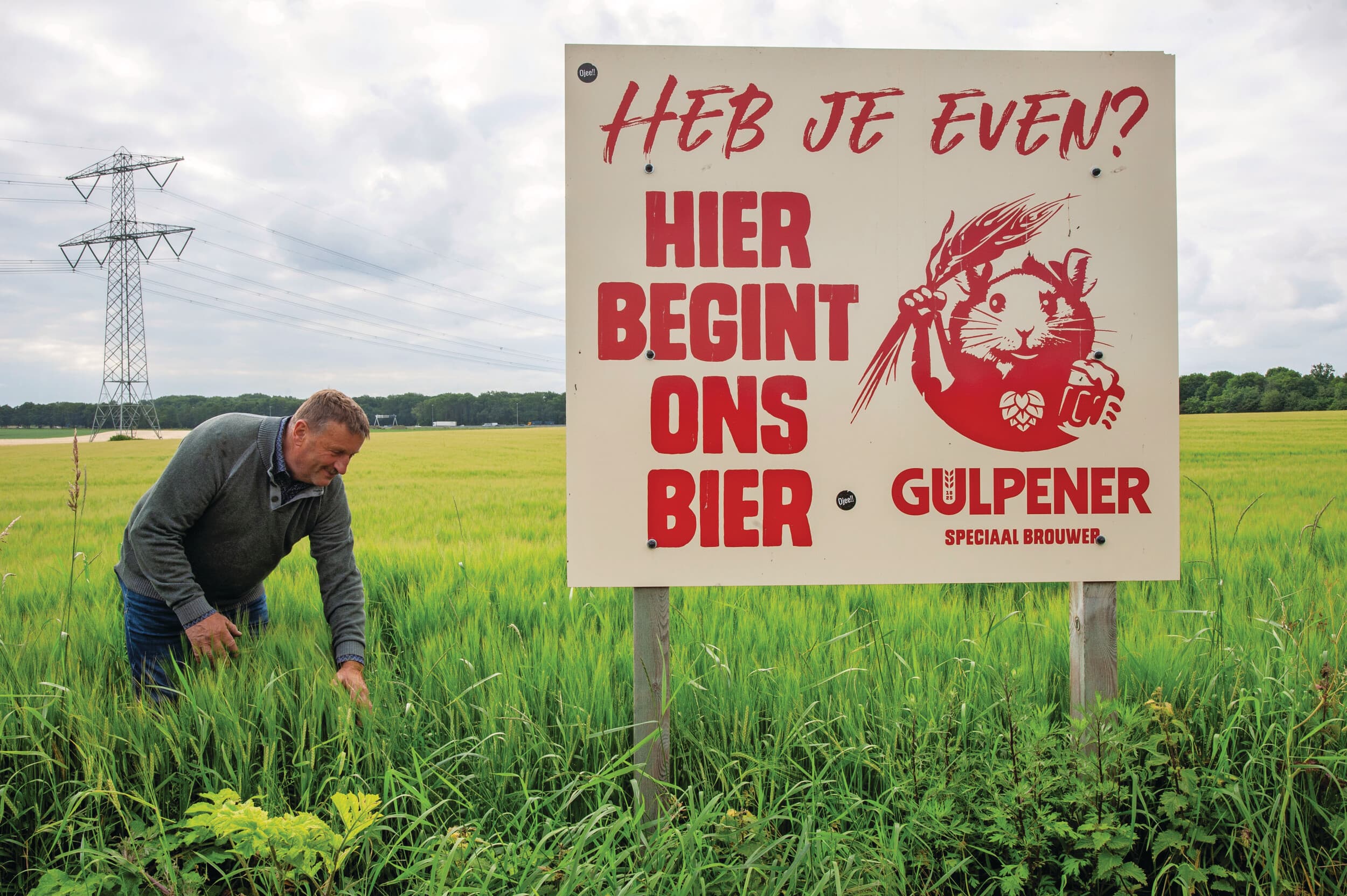 Jos Fijten teelt brouwgerst van het ras Firefoxx voor de Gulpener Bierbrouwerij. Hij zaaide het graan vanaf 19 maart, waarna dit snel opkwam en zich goed ontwikkelde. “Ik kies altijd voor bieten als voorvrucht”, zegt Fijten. “Qua bemesting houd ik het bij 165 liter Urean per hectare. Daarnaast zet ik weinig gewasbescherming in. Dit jaar verwacht ik een goede opbrengst: 8 tot 9 ton per hectare moet haalbaar zijn.” Foto: Twan Wiermans