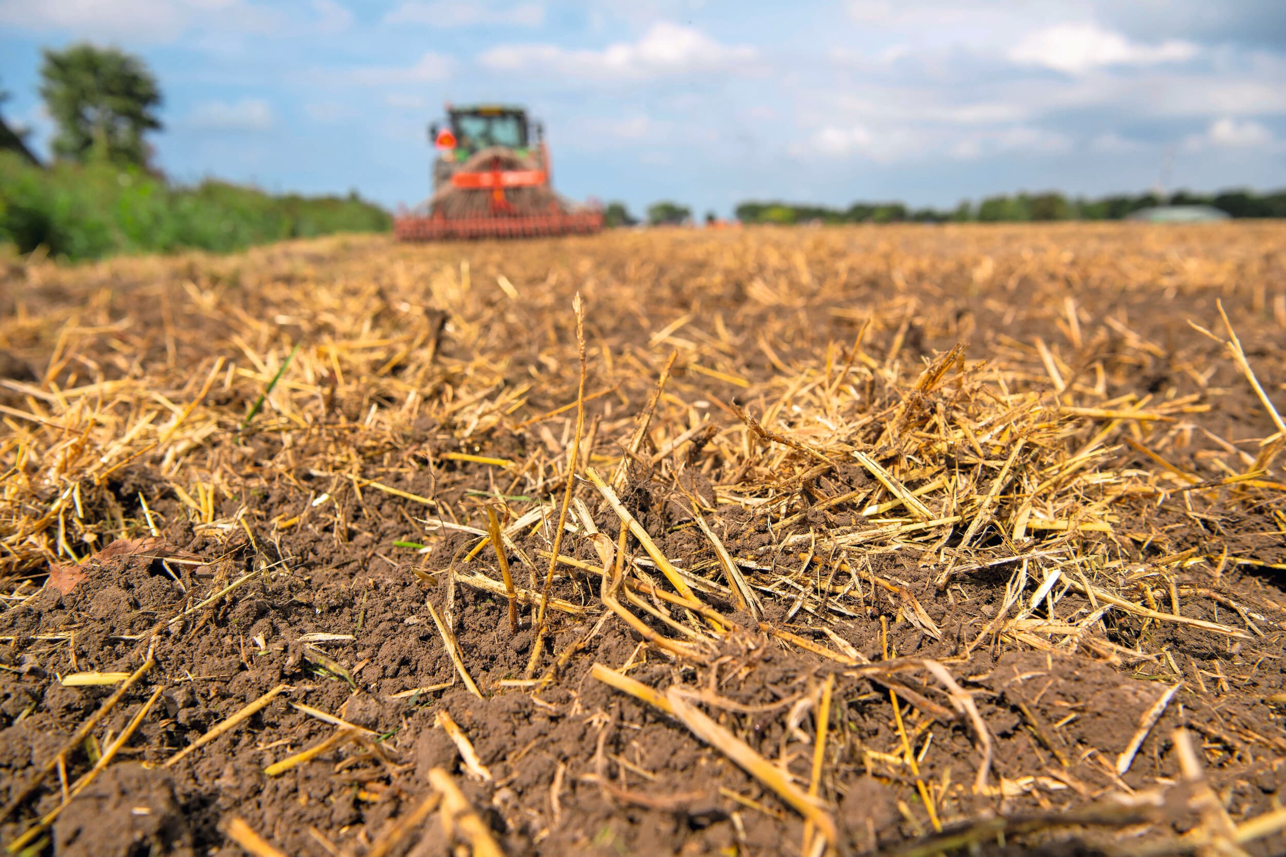 Inwerken van graanstoppel. “Het organische stofgehalte heeft een belangrijke sleutelrol in een gezonde bodem”, zegt Thea van Beers, kenniscoördinator van Agrifirm. Foto: Mark Pasveer