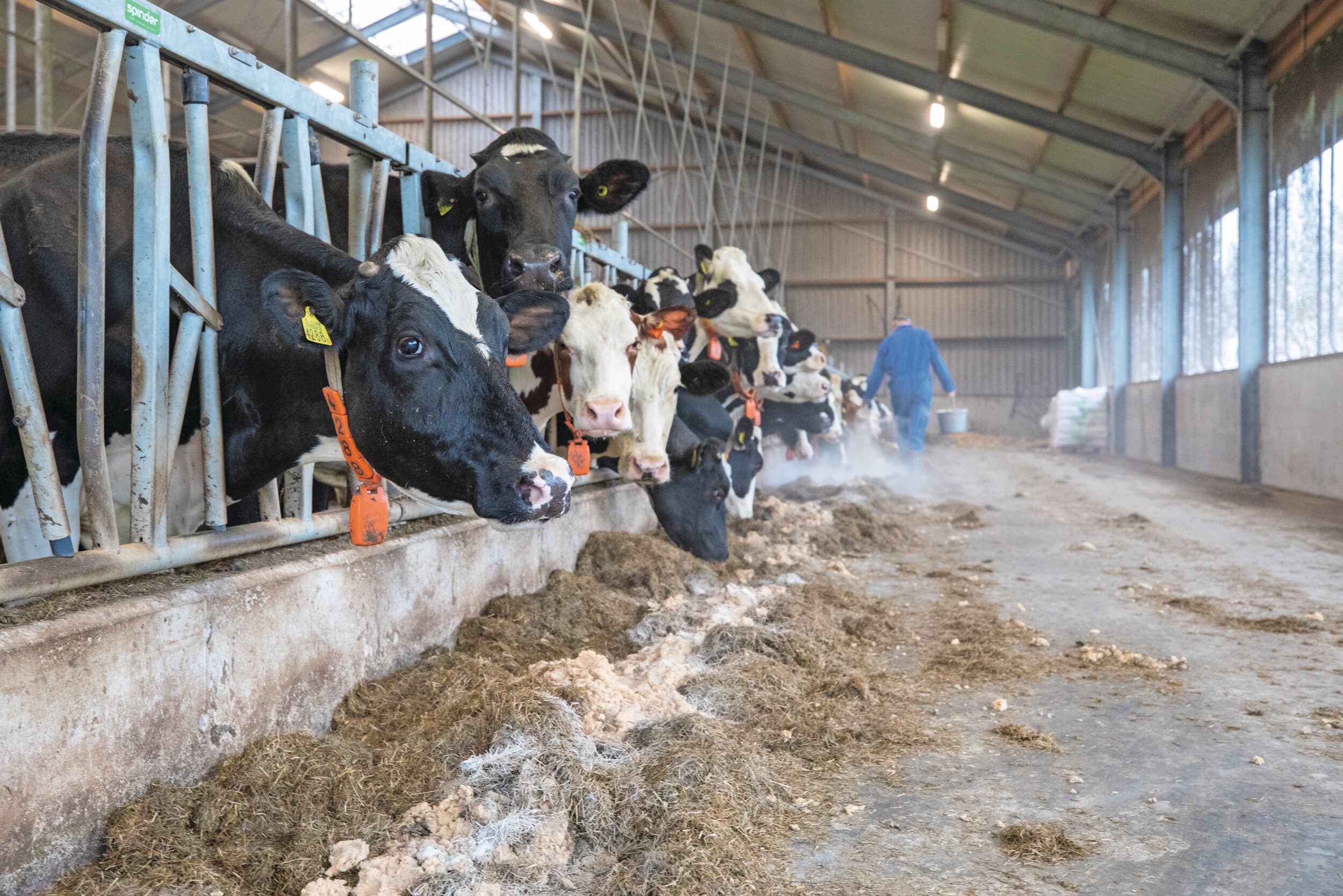 Factcheck: Europa is voor de import van aminozuren en vitaminen volstrekt afhankelijk van Azië