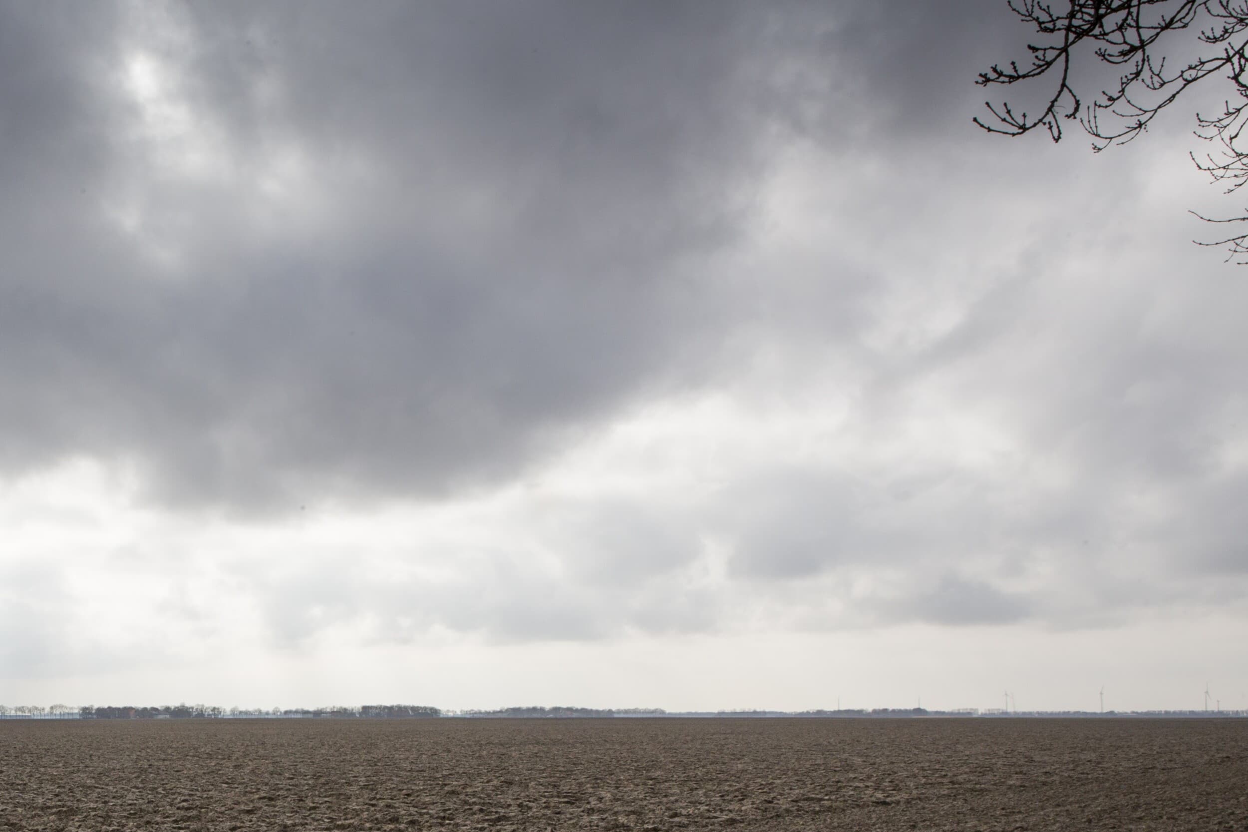 Loslaten op het boerenbedrijf