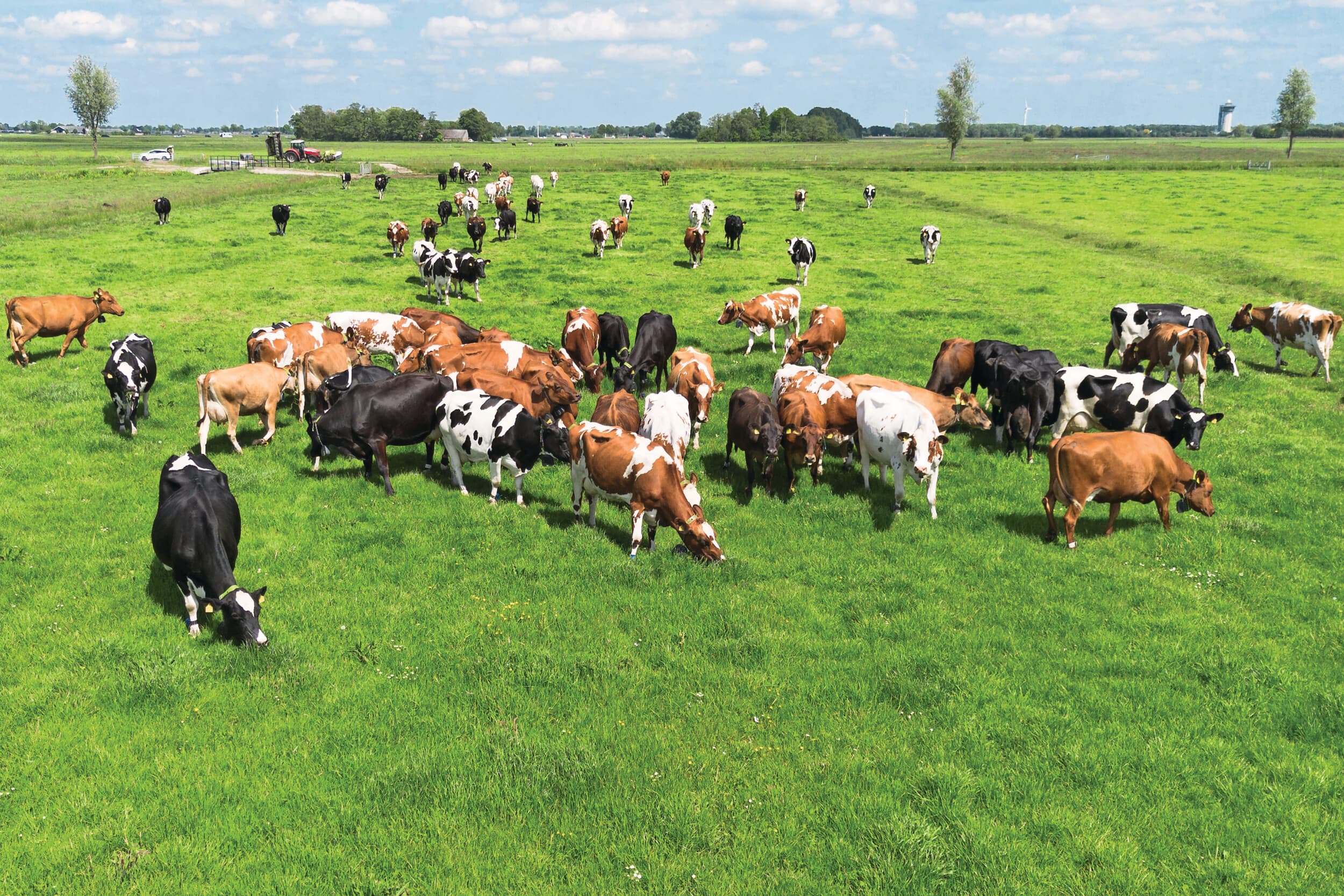 Initiatiefwet grondgebonden melkveehouderij