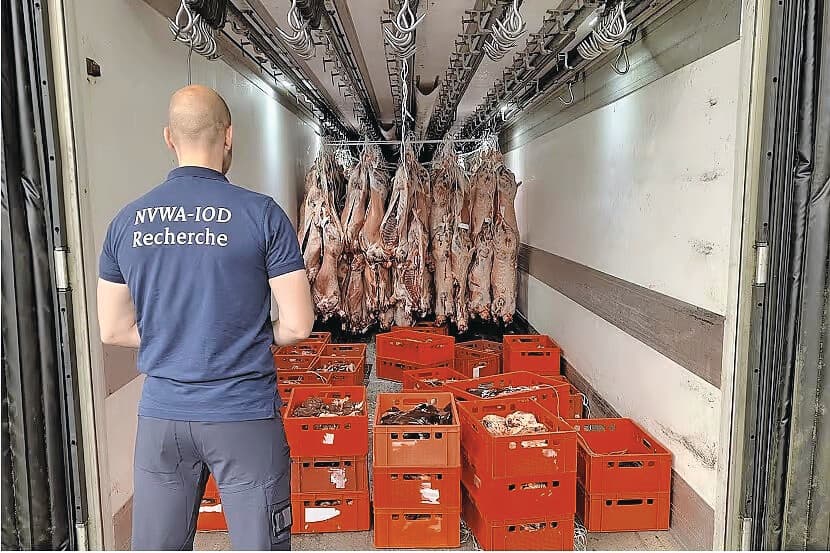 Een rechercheur bij de vracht met karkassen en slachtafval. Foto: NVWA