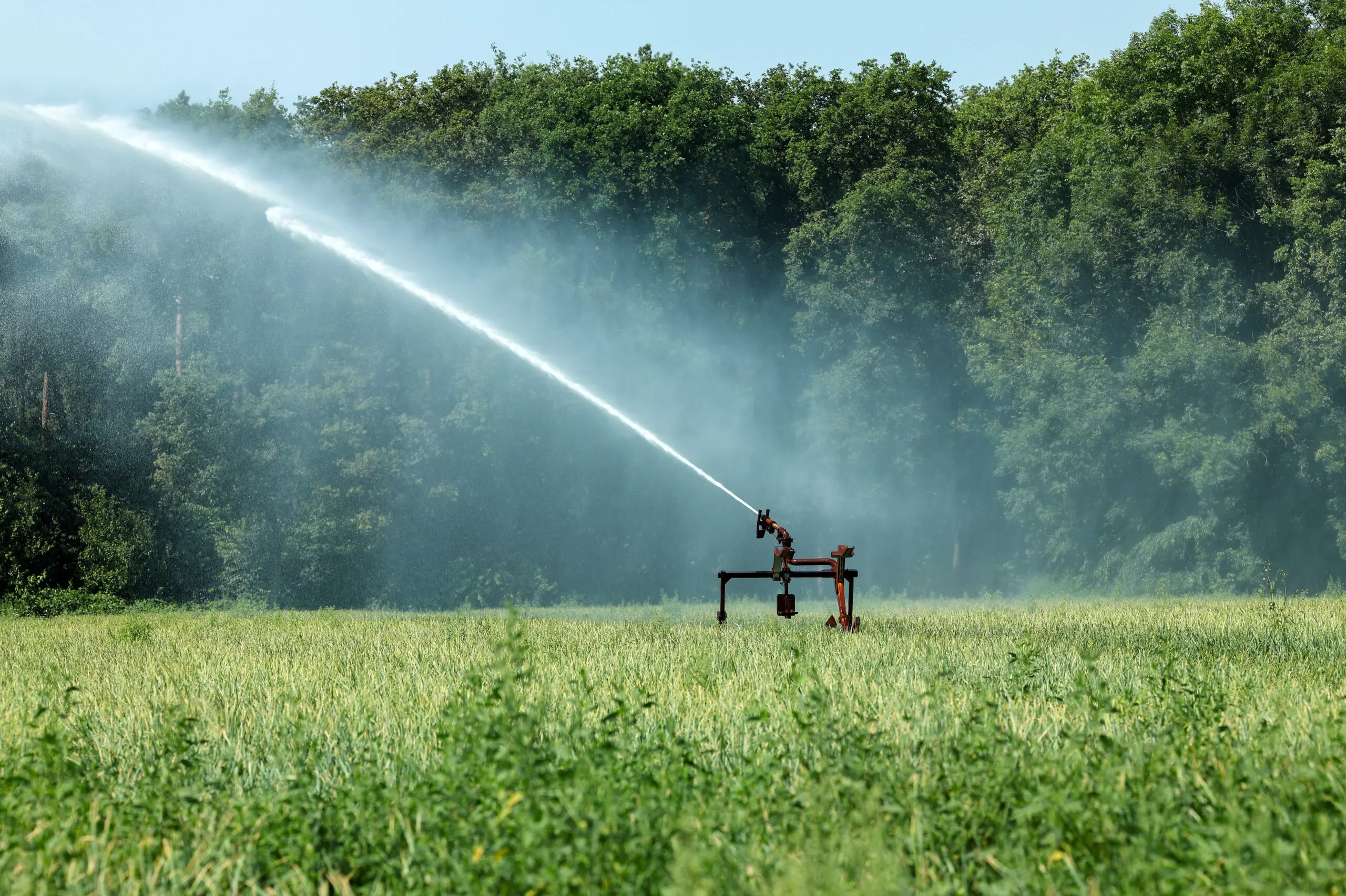 Hitte beregenen gewassen beschermen