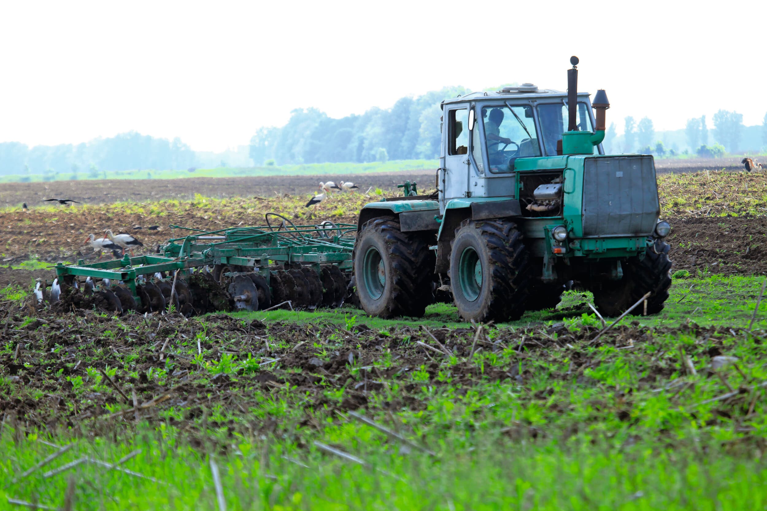Oekraïne is een landbouwreus. Toetreding tot de EU vraagt om een nieuwe verdeelsleutel van het EU-budget. Foto: Henk Riswick