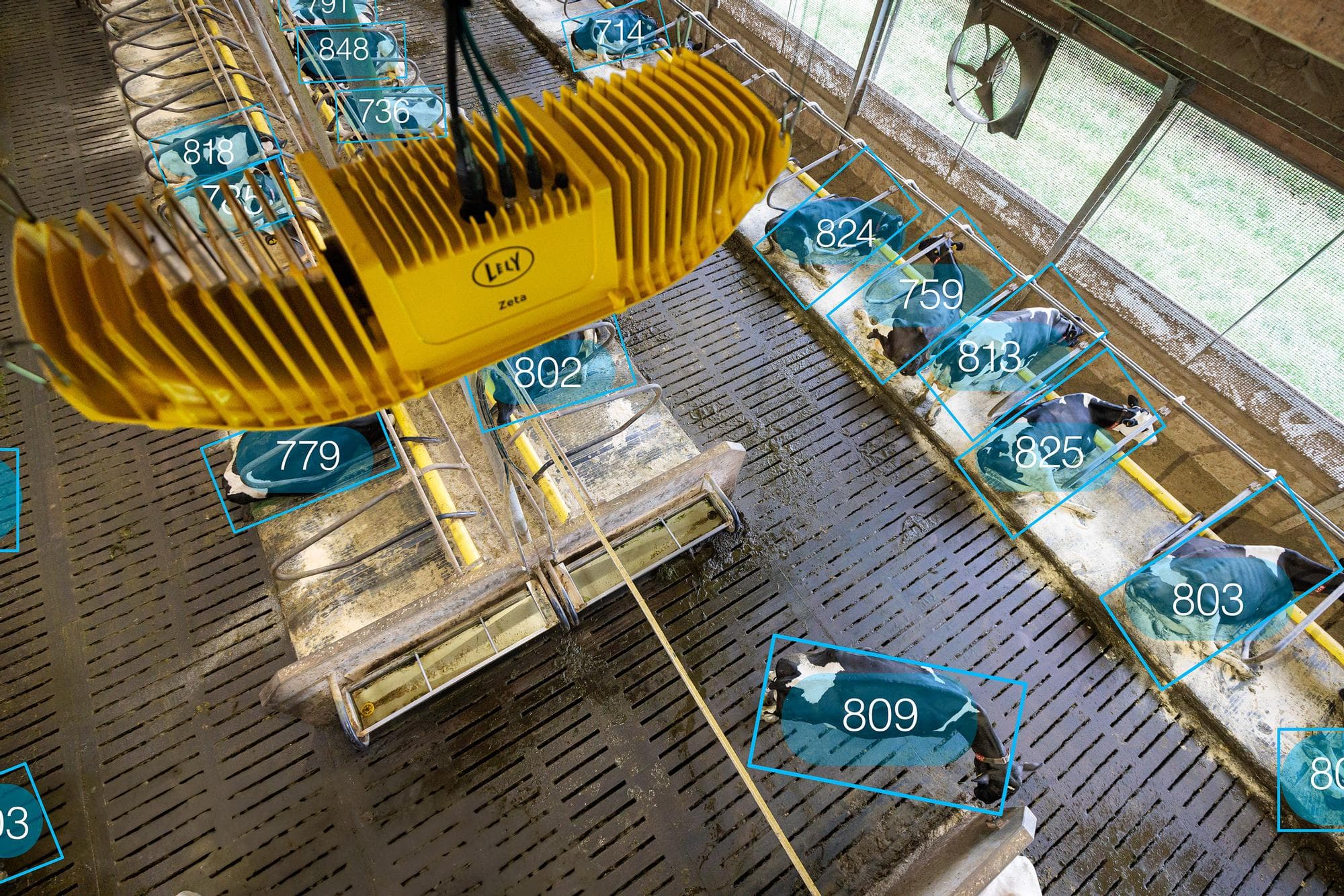 Naast data uit melk- en voerrobots en sensoren komen er in de toekomst zeer waarschijnlijk ook data van camerabeelden bij. Zoals die van Zeta Lely, waarmee boeren nog beter kunnen sturen op hun koemanagement. Foto: Lely