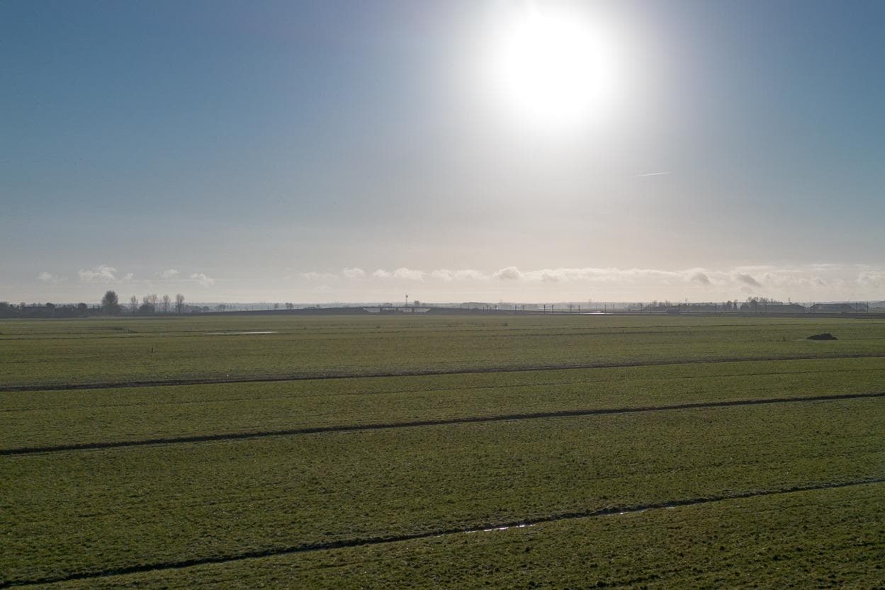 Door beëindigingsregelingen is tot 10 kilometer van Natura 2000-gebieden meer grasland op de markt gekomen in 2024. Foto: Michiel Eberwijn