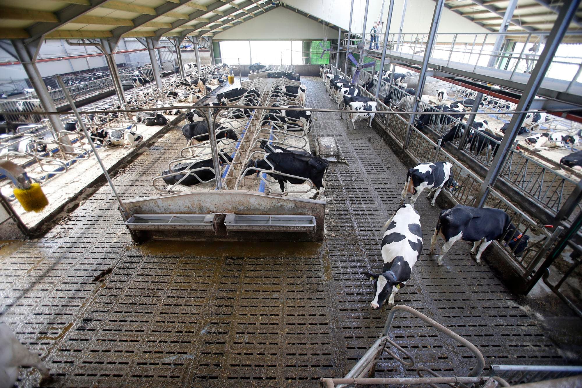 In het kader van de LBV-subsidies wordt een tanklokaal soms ook meegerekend bij de oppervlakte van het dierenverblijf. Foto: Bert Jansen
