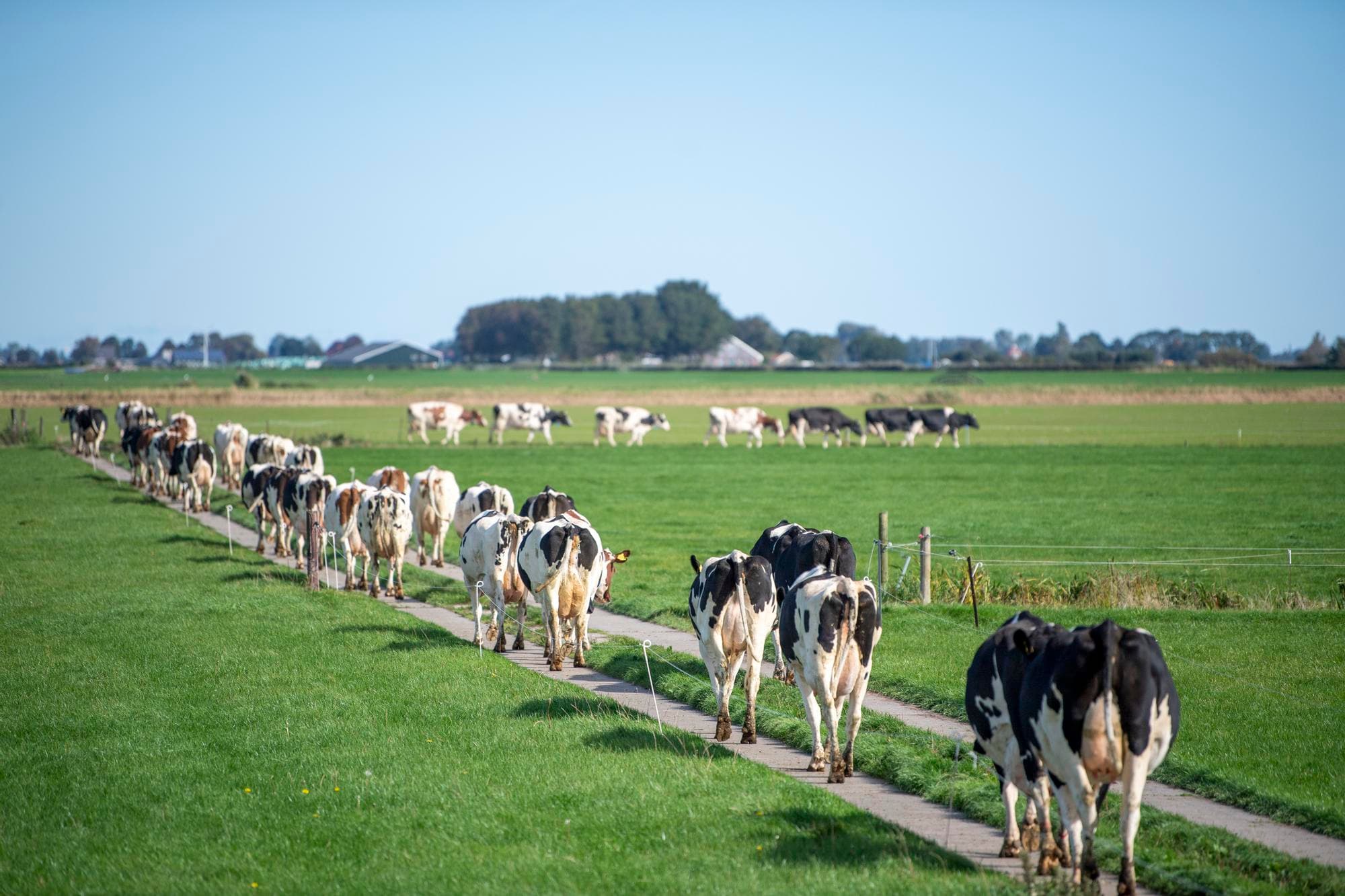 Grondgebondenheidsnorm 'schot in het duister' en drempelwaarde 'kansloos'. Foto: Mark Pasveer