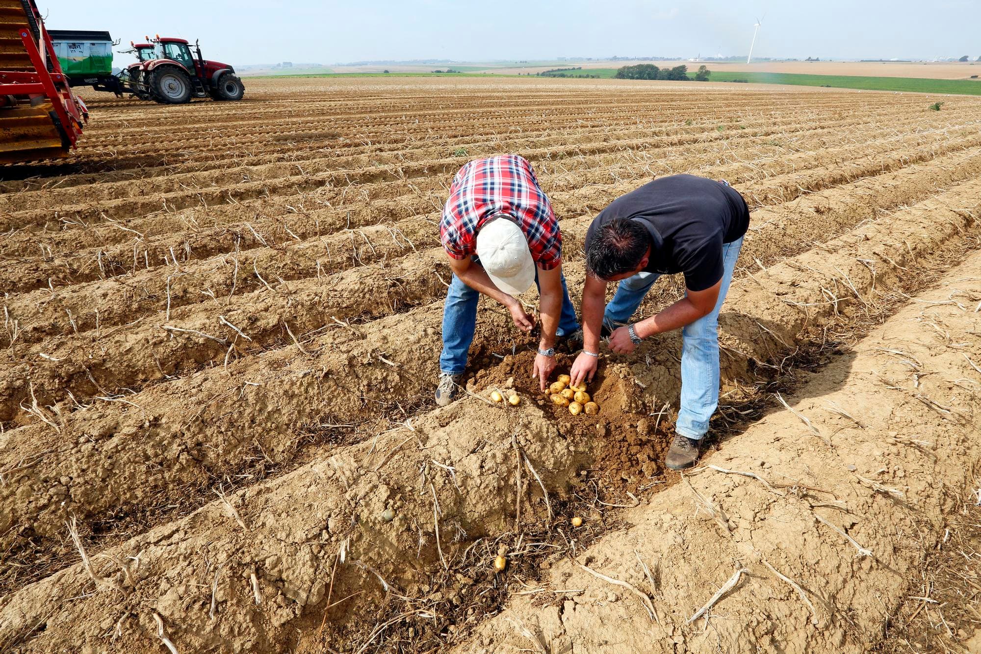 Archieffoto van de aardappeloogst in Frankrijk in september. Samenwerking in producentenorganisaties kan boeren meer invloed geven op de prijs. Foto: Henk Riswick