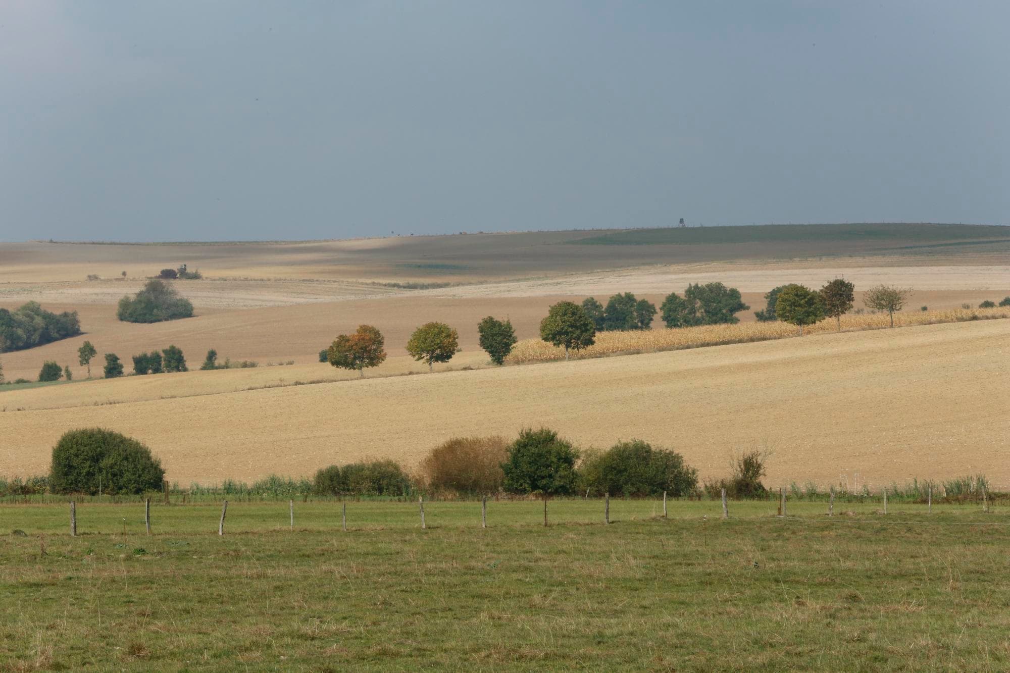 Het Franse landbouwbeleid zou te veel zijn gericht op grootschaligheid en export. Foto: Henk Riswick