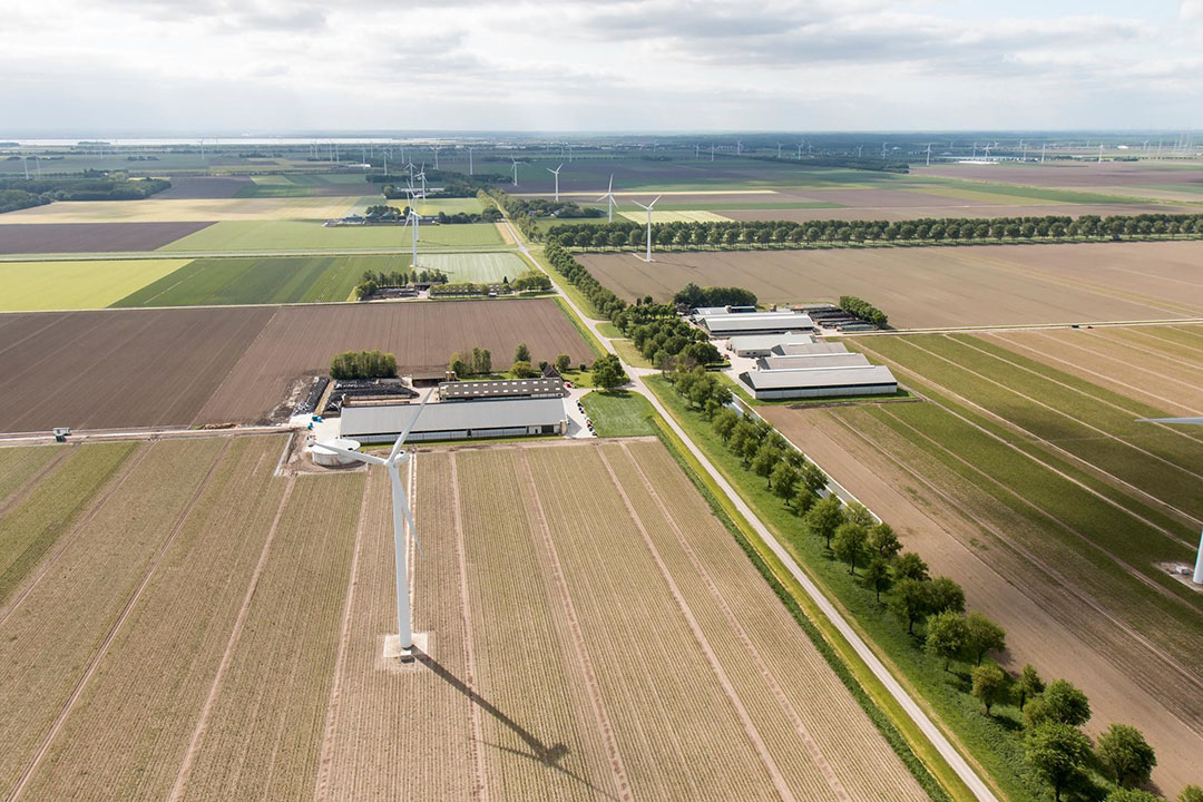 Hoeveel Is 1 Hectare