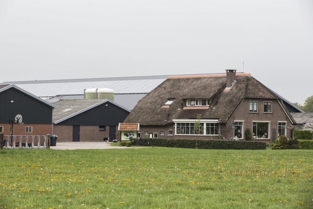 Rundvee Nieuws en achtergronden over rundveehouderij Boerderij