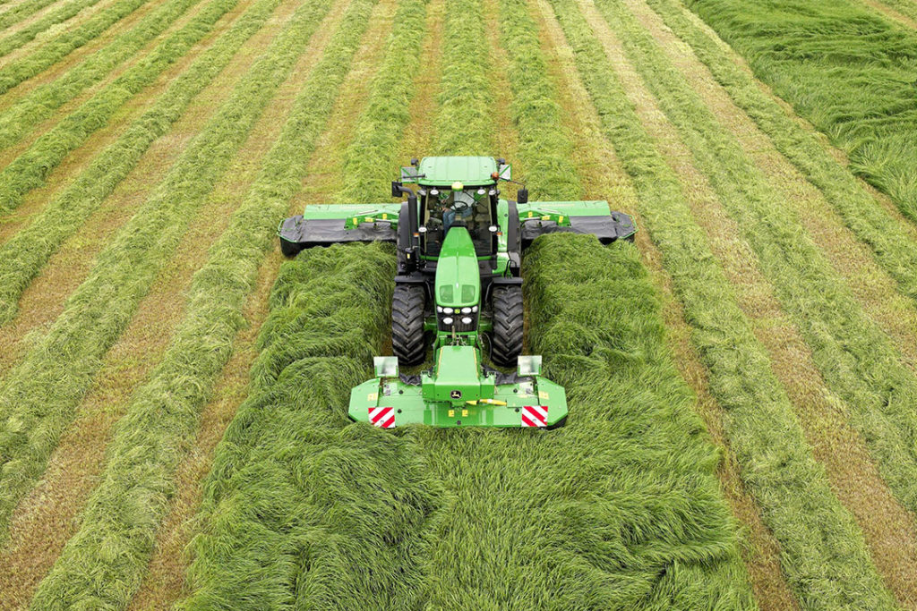 De optimale maaihoogte van gras is 7 cm. De voederwaarde van gras zit namelijk in het blad en niet in de stam/stengel. - Foto: DSV Zaden