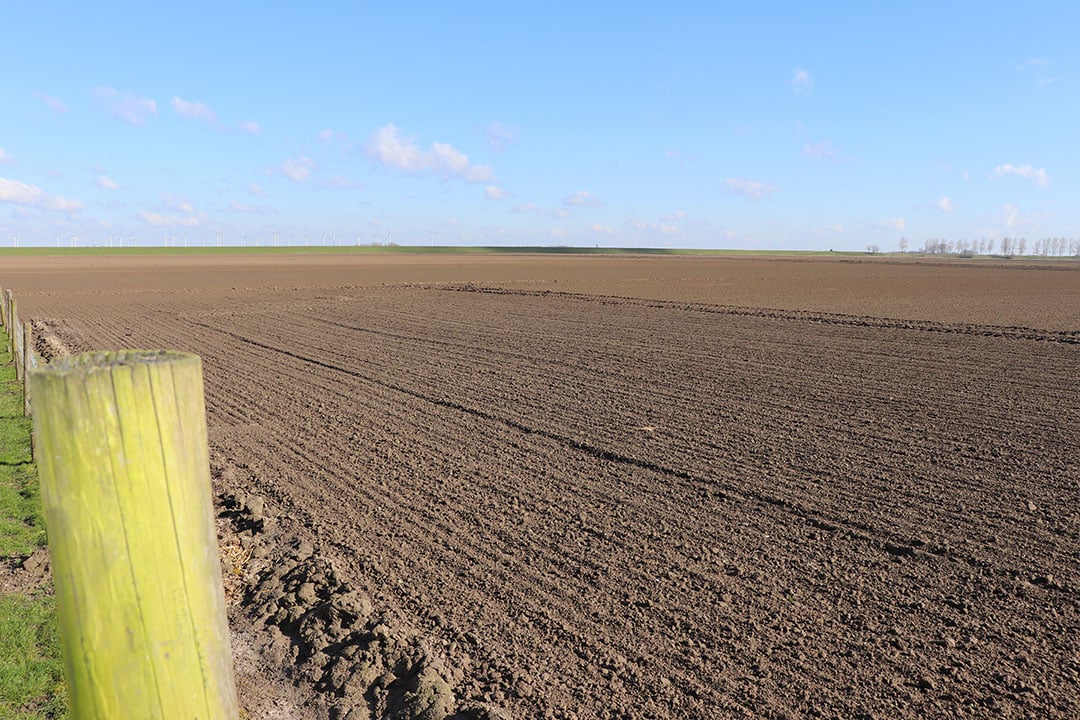Van het totale areaal ligt circa 50 hectare rondom het bedrijf. Op zo’n 2 kilometer afstand liggen nog twee percelen van in totaal 10,5 hectare. Het is allemaal lichte kleigrond.