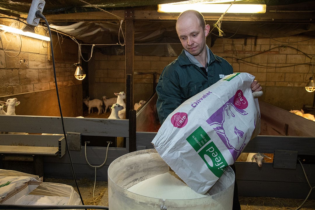 Patrick bezig met kunstmelk maken voor de 400 lammeren op het bedrijf.