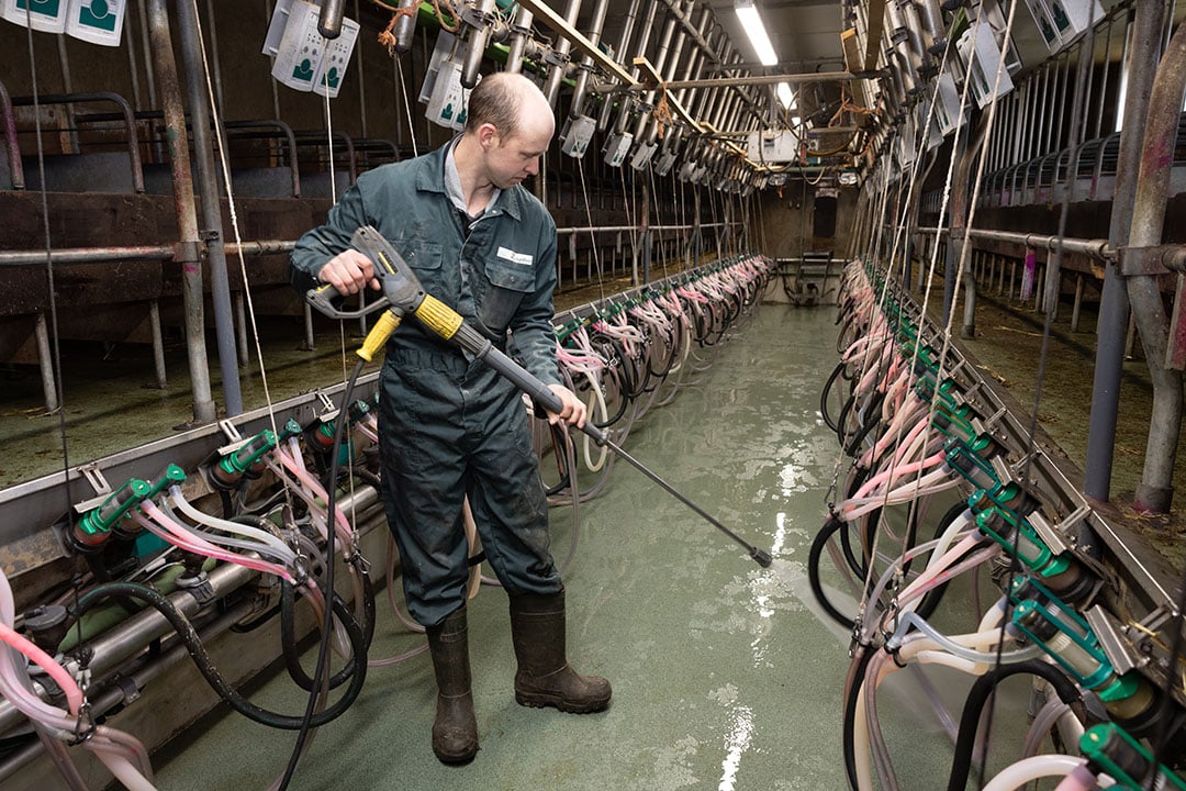 Inclusief schoonmaken van de melkstal kost melken per keer ruim 3 uur. Daarom zijn er melksters in dienst om elkaar af te kunnen wisselen.