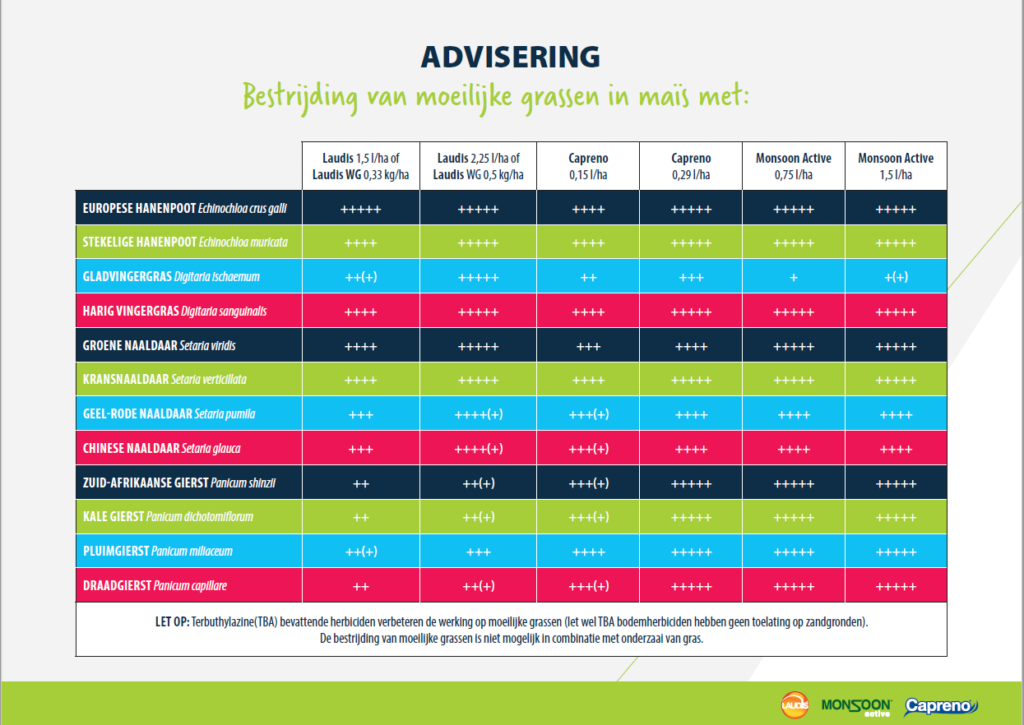 Middelenadvies voor bestrijding van moeilijke grassen in mais.