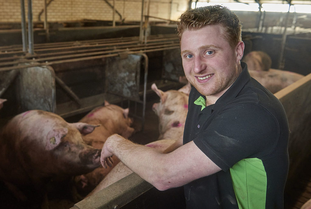 Berton van de Ven (32) in Uden investeerde voor zijn hele varkensbedrijf in een hogedrukvernevelingsinstallatie van TS Holland Group in combinatie met ventilatoren. - Foto: Van Assendelft Fotografie