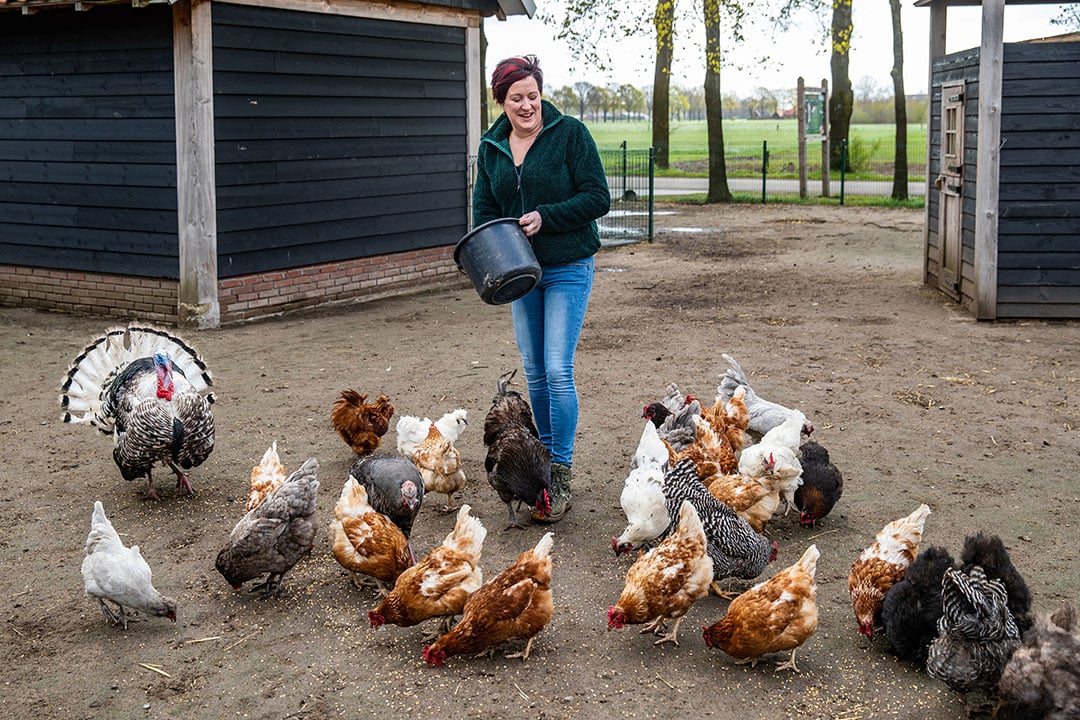 Anouk houdt van het houden en verzorgen van kleindieren.