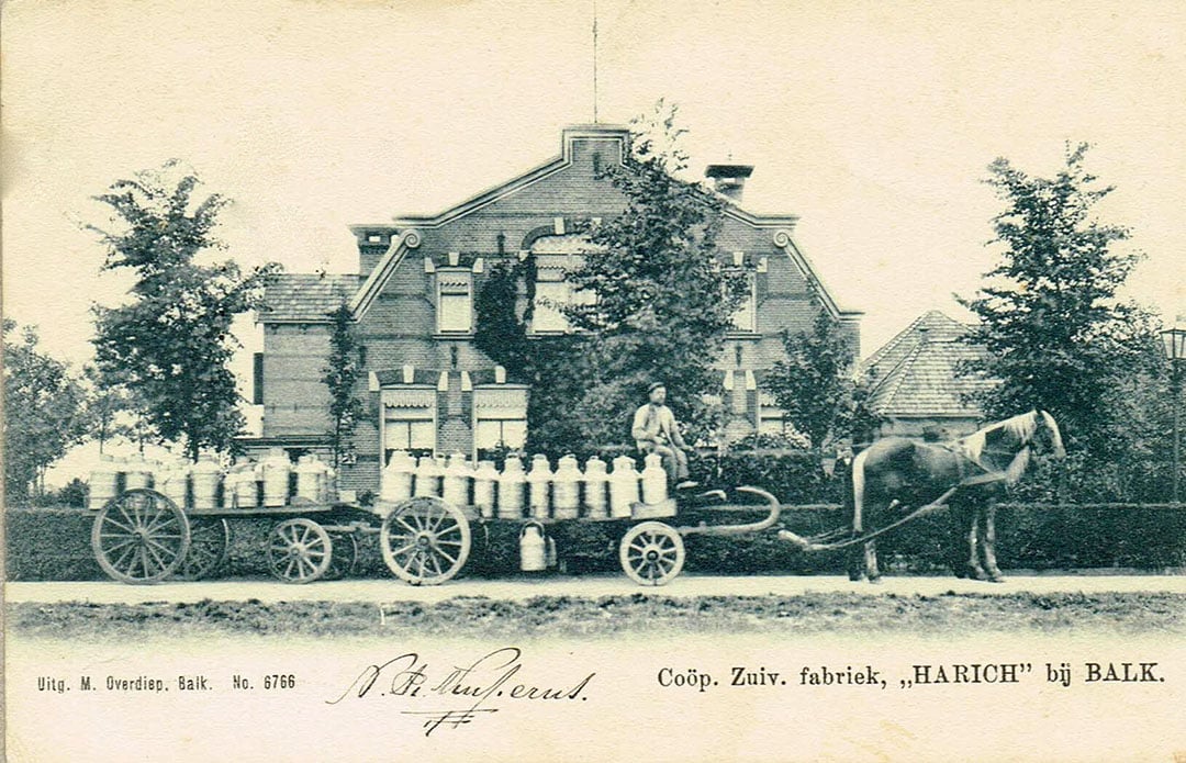 Geduldig wacht in het Friese Balk het paard tot de melkbussen geladen zijn. De ijzeren en later aluminium melkbus stamt uit het begin van de vorige eeuw. - Foto: Zuivelgeschiedenis.nl