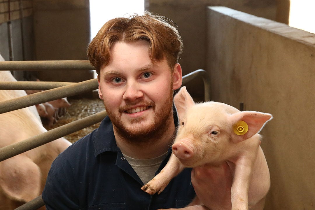 Jop van Toor is biologisch varkenshouder: 'Dit gaat ver maar ik lig er niet wakker van.