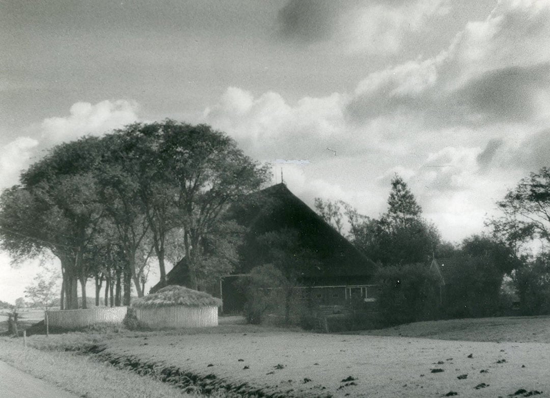 De betonnen grassilo’s kregen vaak een afdakje van stro of matten om inregenen te voorkomen. Regenwater hinderde het conserveringsproces en met het extra vocht, zouden waardevolle stoffen via het tapkraantje weer weglekken. - Foto: Misset