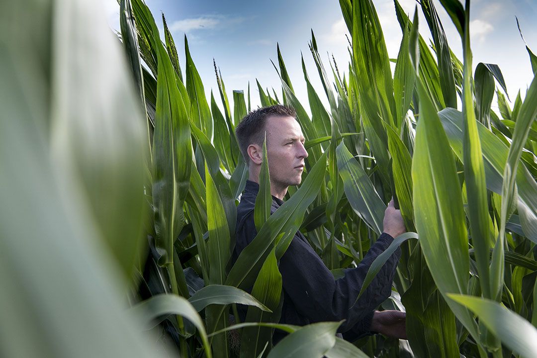 Op stagebedrijven in binnen- en buitenland zag Hendrik dat die ondernemers altijd net even verder keken dan een ander. 'Heel leerzaam', vond hij dat. - Foto: Mark Pasveer