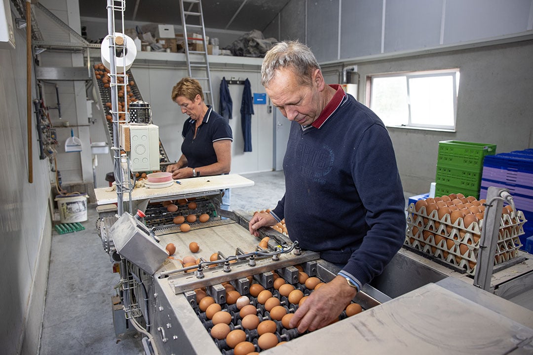 André en Carla aan het werk in het eierlokaal.
