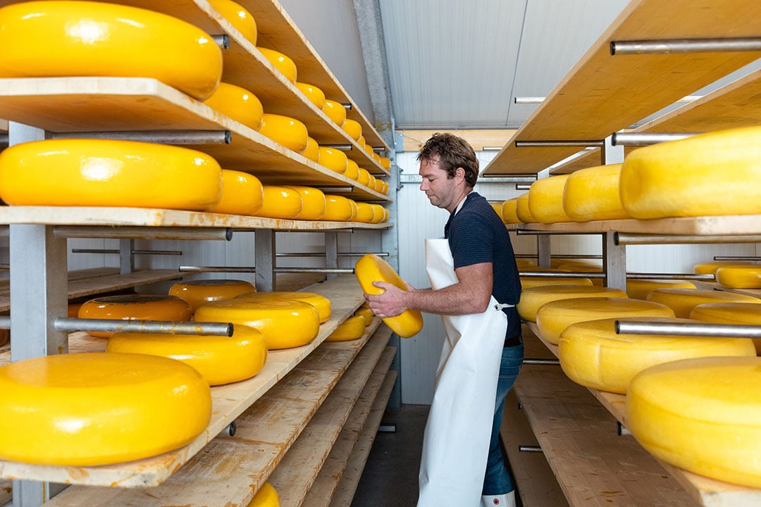 Bij de boerderij hoort ook een kaasmakerij. Van de melk verwerkt Gertjan 95 procent tot boerenkaas.