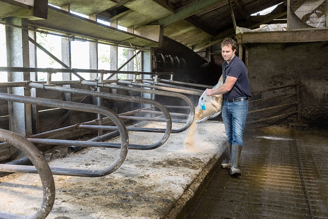 De stal is 33 jaar oud en gedateerd. Op termijn wil Gertjan die vervangen of renoveren.