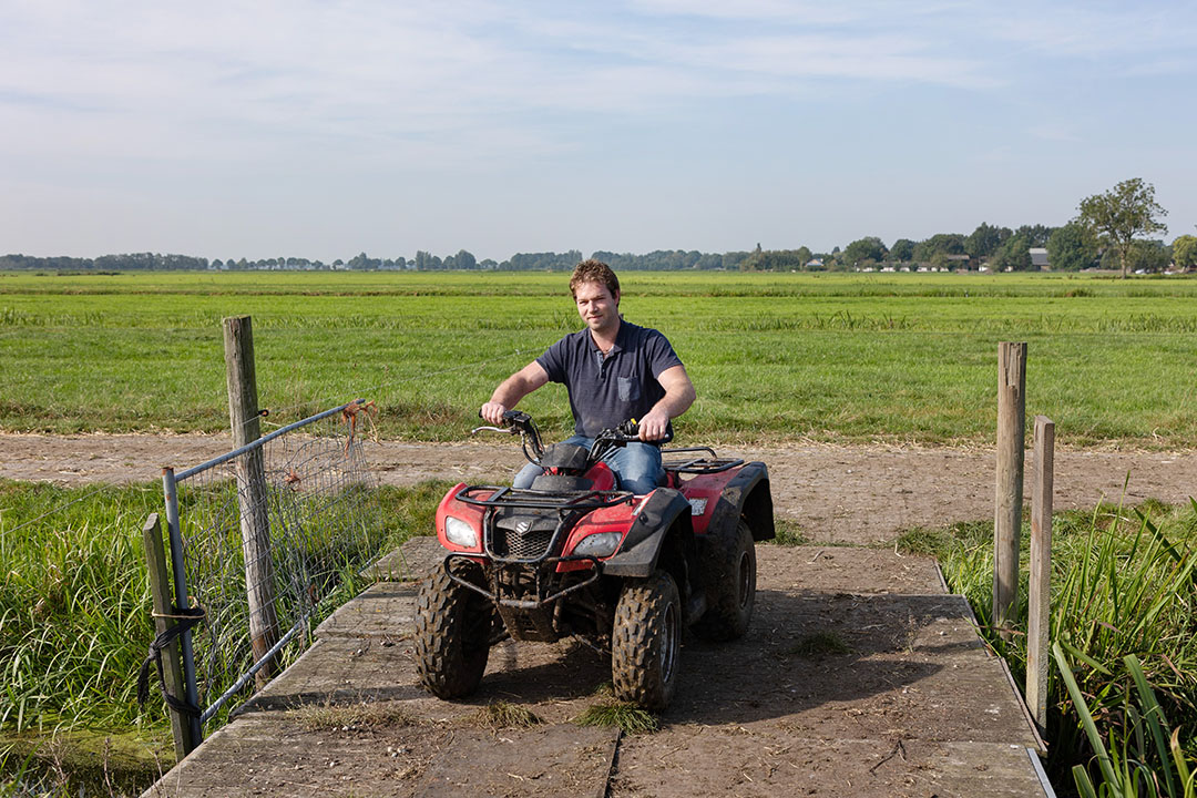 Op de quad naar de koeien.