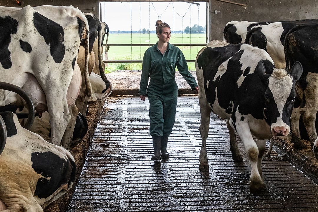 Uitbreiden staat wel op het wensenlijstje maar honderden koeien, 'dat hoeft niet.'