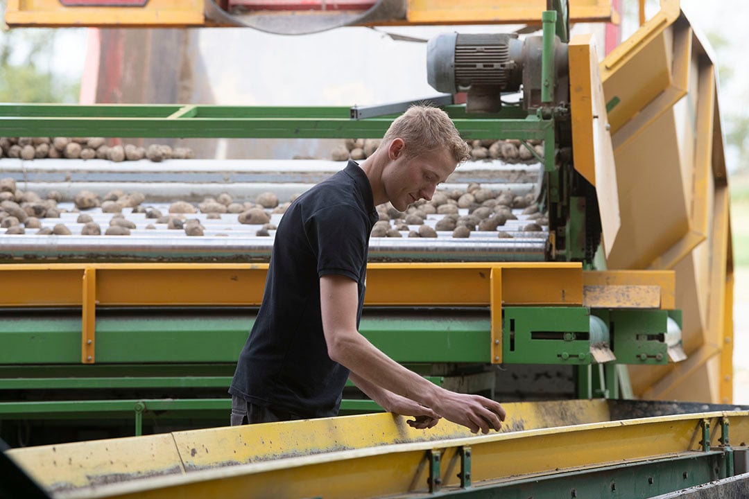 Piepkleine piepertjes selecteren, daar is Peter niet zo dol op. 'Het schiet niet op'. Bij het selecteren helpt overigens zijn zus Desiree ook vaak mee.