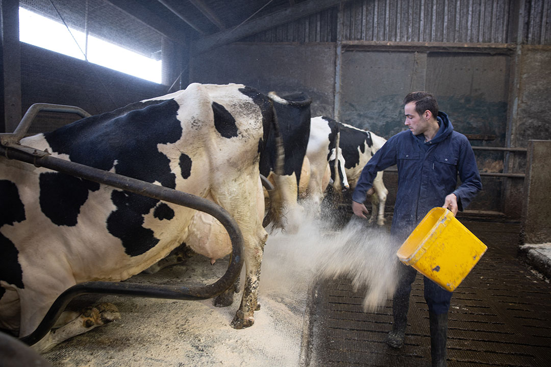 Met secuur en efficiënt werken hoopt Lars de melkproductie te verhogen naar 11.000 liter per koe.