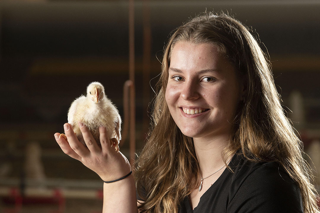 Wietske de Klein (18) uit Appelscha (Fr.) wil het ouderlijk bedrijf met vleeskuikenouderdieren overnemen. Na het vmbo in Assen en Drachten volgt ze nu de BOL-opleiding bij Aeres MBO in Barneveld. Ze zit in het derde en laatste jaar en loopt één dag per week stage bij Michiel van Harten.