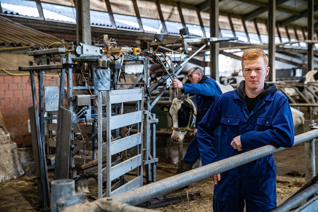 Op de achtergrond duwt stageboer Gerrit Holmer een koe in de klauwbekapbox. Op de voorgrond Marc die tijdens zijn stage de kneepjes van het bekappen leerde.