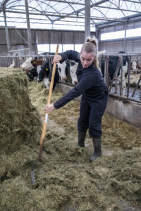 Als Brecht Osinga het ouderlijk bedrijf niet kan overnemen, is haar stageland Zweden misschien interesant. - Foto: Anne van der Woude