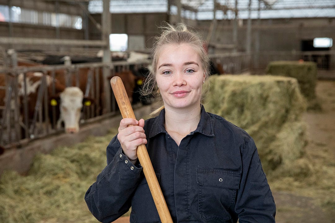 Brecht Osinga (22) woont in Oudega (Fr.) op een melkveebedrijf. Ze deed mbo niveau 4 melkveehouderij en zit nu in het derde jaar agrarisch ondernemerschap dier en veehouderij Aeres Dronten. Ze liep stage bij familie Haasken in Torsö, Zweden op een biologisch veebedrijf.