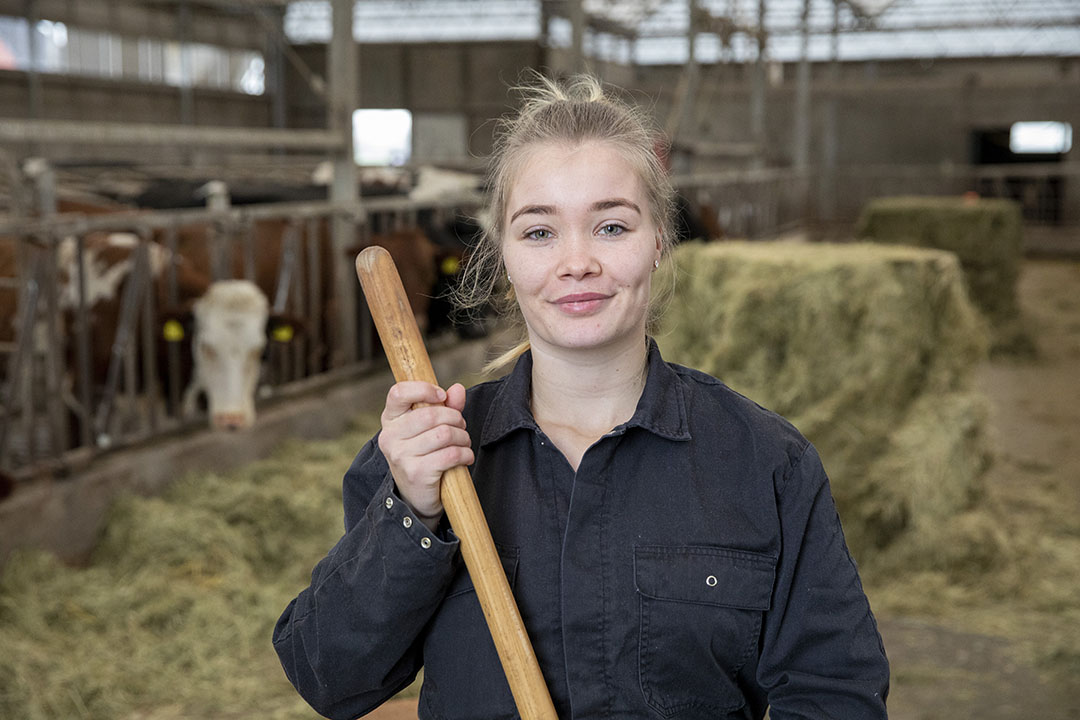 Brecht Osinga (22) woont in Oudega (Fr.) op een melkveebedrijf. Ze deed mbo niveau 4 melkveehouderij en zit nu in het derde jaar agrarisch ondernemerschap dier en veehouderij Aeres Dronten. Ze liep stage bij familie Haasken in Torsö, Zweden op een biologisch veebedrijf.