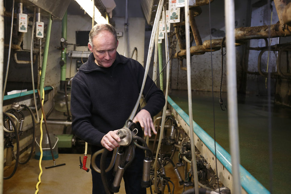 Henk bezig in de melkstal. Zijn sterke kant ligt 'achter', in huis doet Yolanda vrijwel alles.