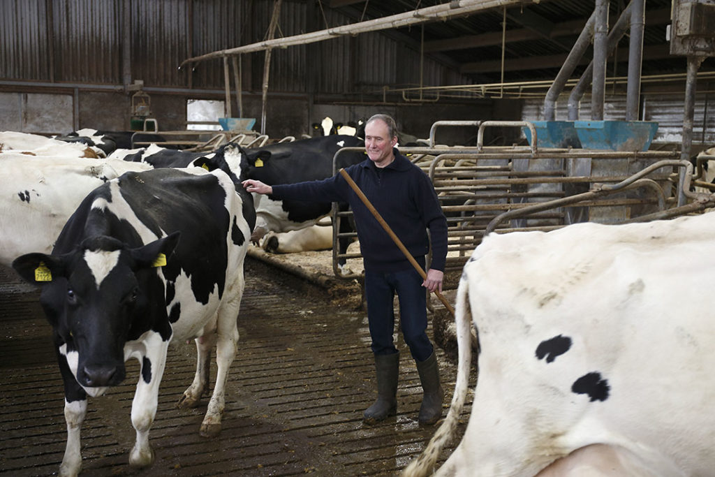 Henk is goed met koeien. Hij noemt zichzelf echt een boer die zijn vee moeilijk achter kan laten als hij eens een weekendje weggaat.