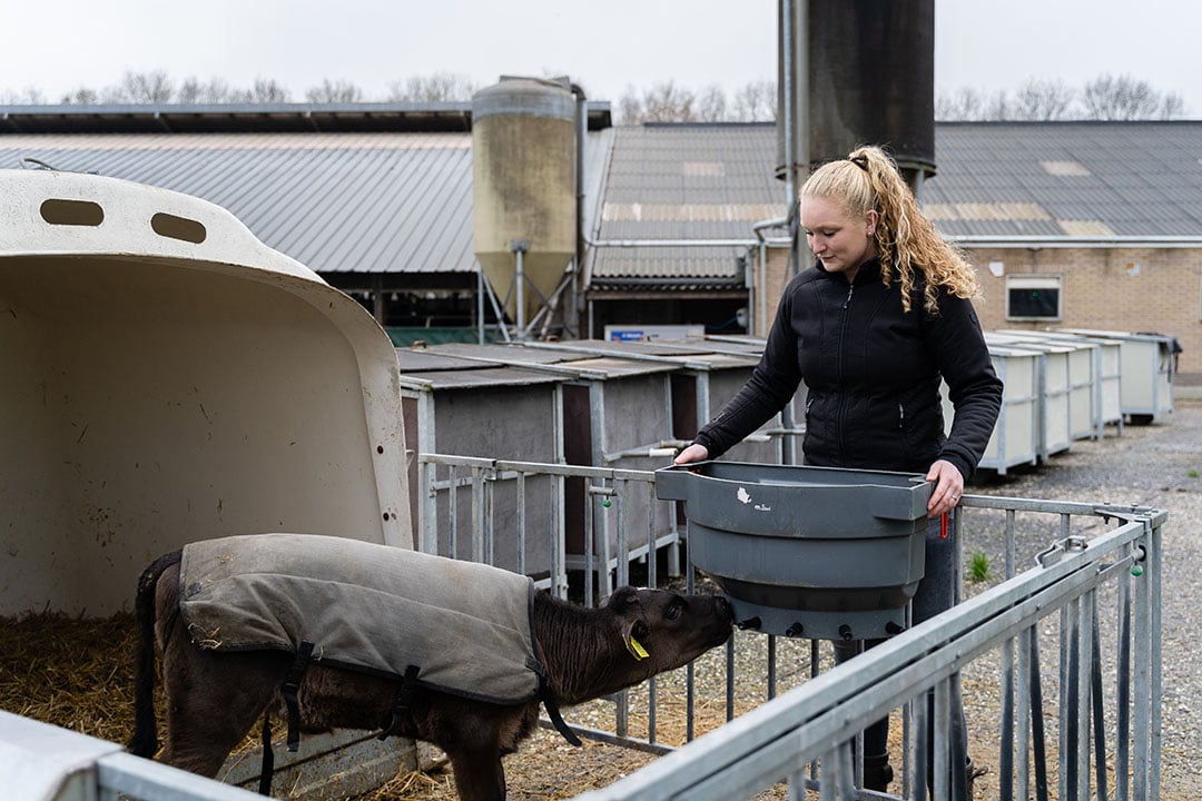 Janine geniet ervan als een goed opgefokt kalf uitgroeit tot een goede melkkoe.
