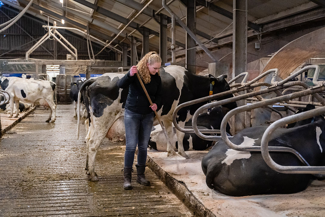 Een goede en gezonde veestapel, daar draait het voor Janine allemaal om want daar moet het uiteindelijk mee verdiend worden.