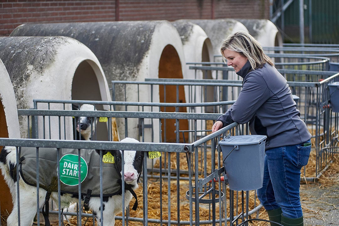 Kalfjes verzorgen is leuk om te doen, maar Mirjam zou het niet altijd alle dagen willen doen. 'Daarvoor is het toch niet genoeg mijn ding.'