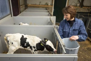 De verhouding tussen werken op het bedrijf en besturen, zal door haar nieuwe functie vermoedelijk veranderen, denkt Helma.