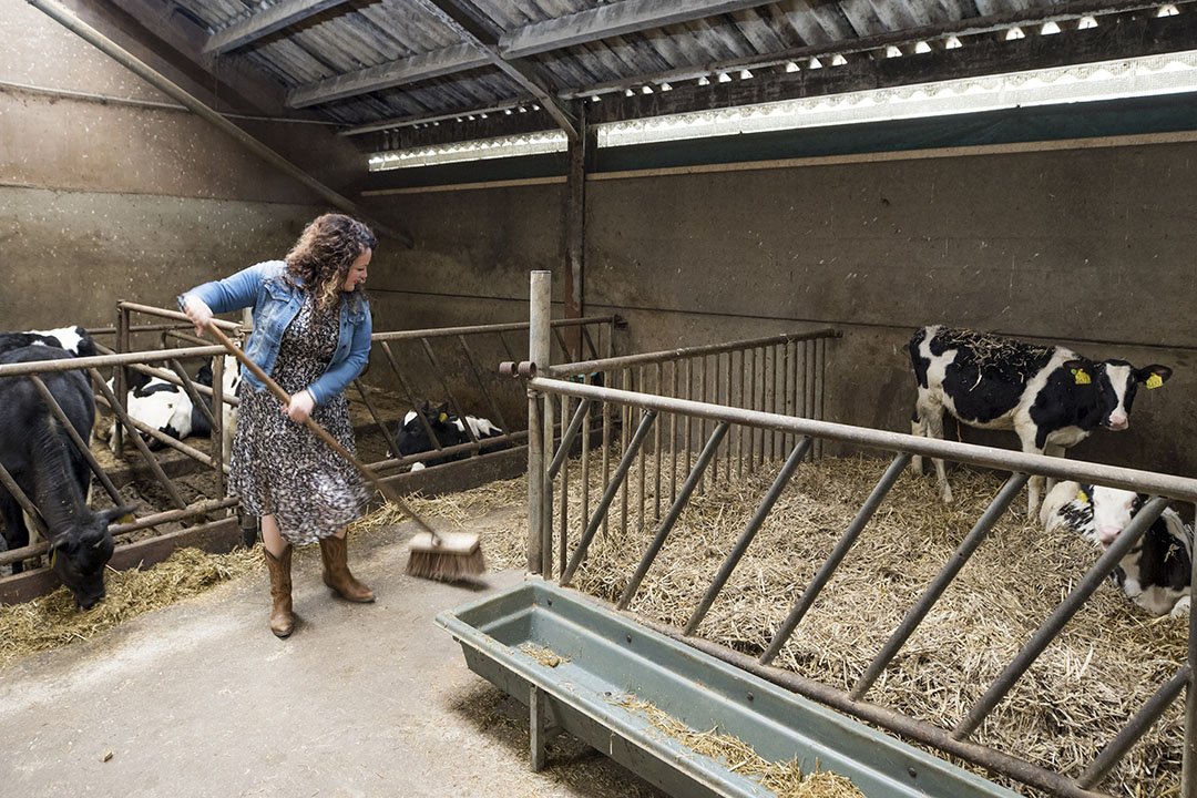 Eline is graag in de stal bezig. In het weekend verricht ze hand- en spandiensten op het bedrijf, ze helpt dan met de koeien en de verzorging van de kalfjes.