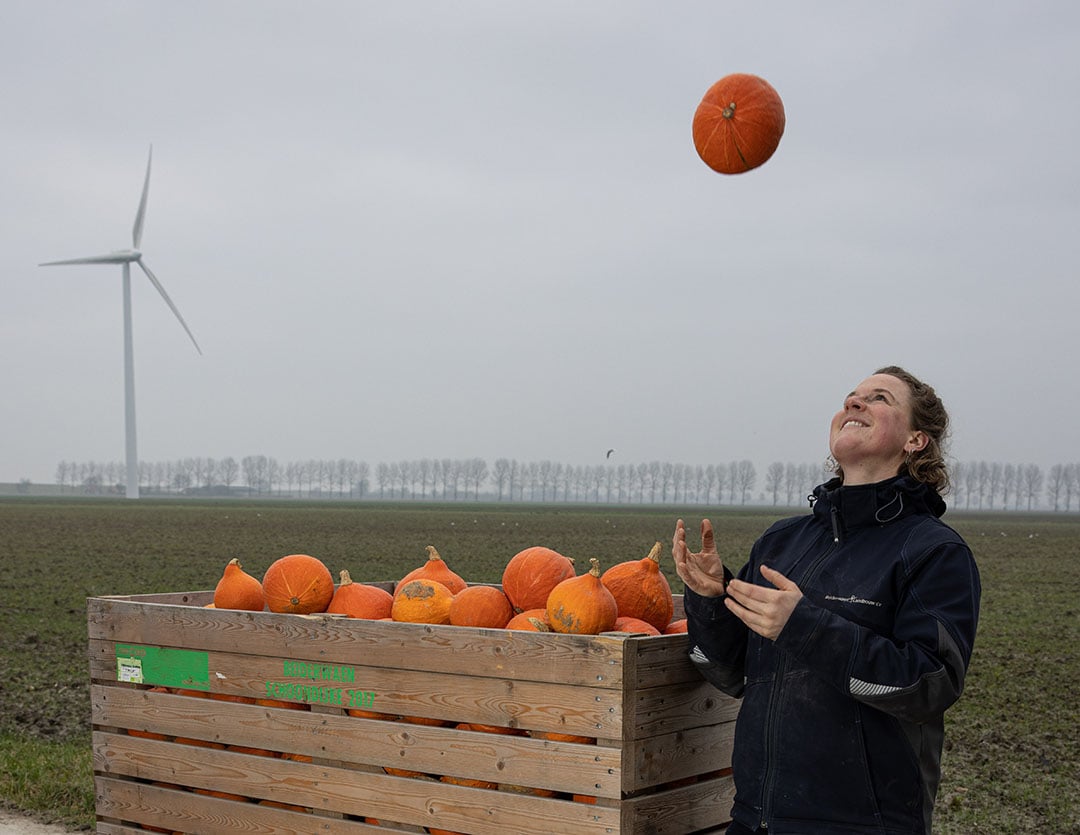 Het bedrijf participeert ook in RSQ-Bio BV dat pompoenen verwerkt en verhandelt.